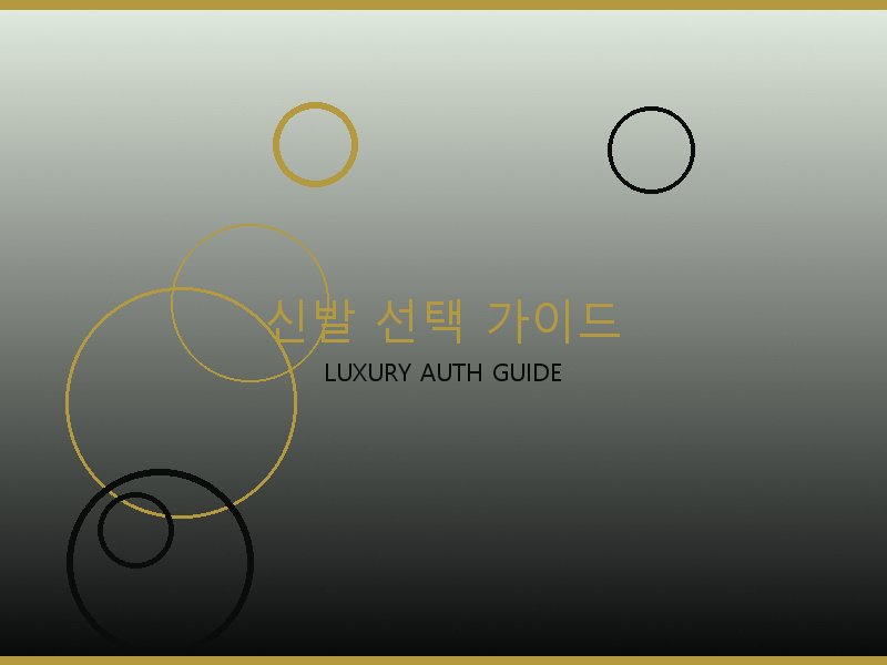 벨루티 레플리카 사이트 신발 선택 가이드